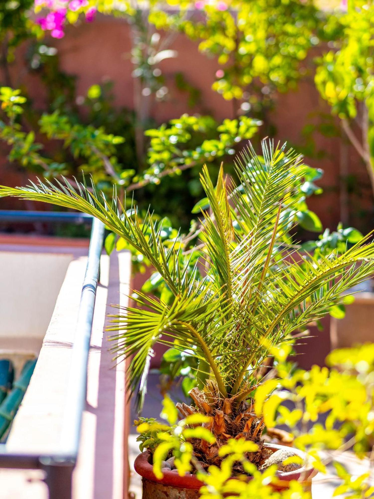 Riad L'Orange Bleue Марракеш Екстер'єр фото